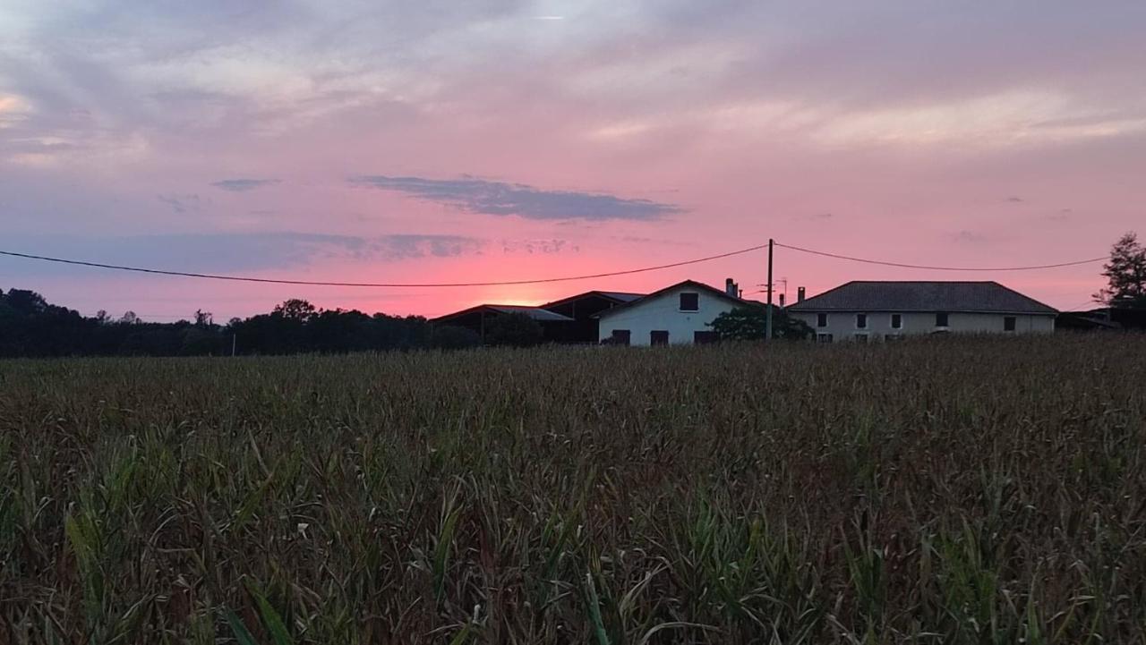 ホテル Le Domaine De Laurolie Gaujacq エクステリア 写真